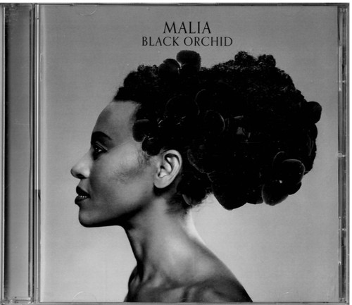 Black orchid von malia - orchid,