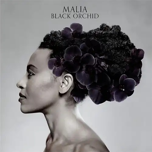 Malia black orchid - -,