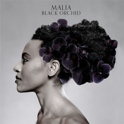 Malia black orchid - malia,