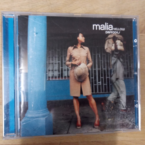 Malia yellow daffodils - -,